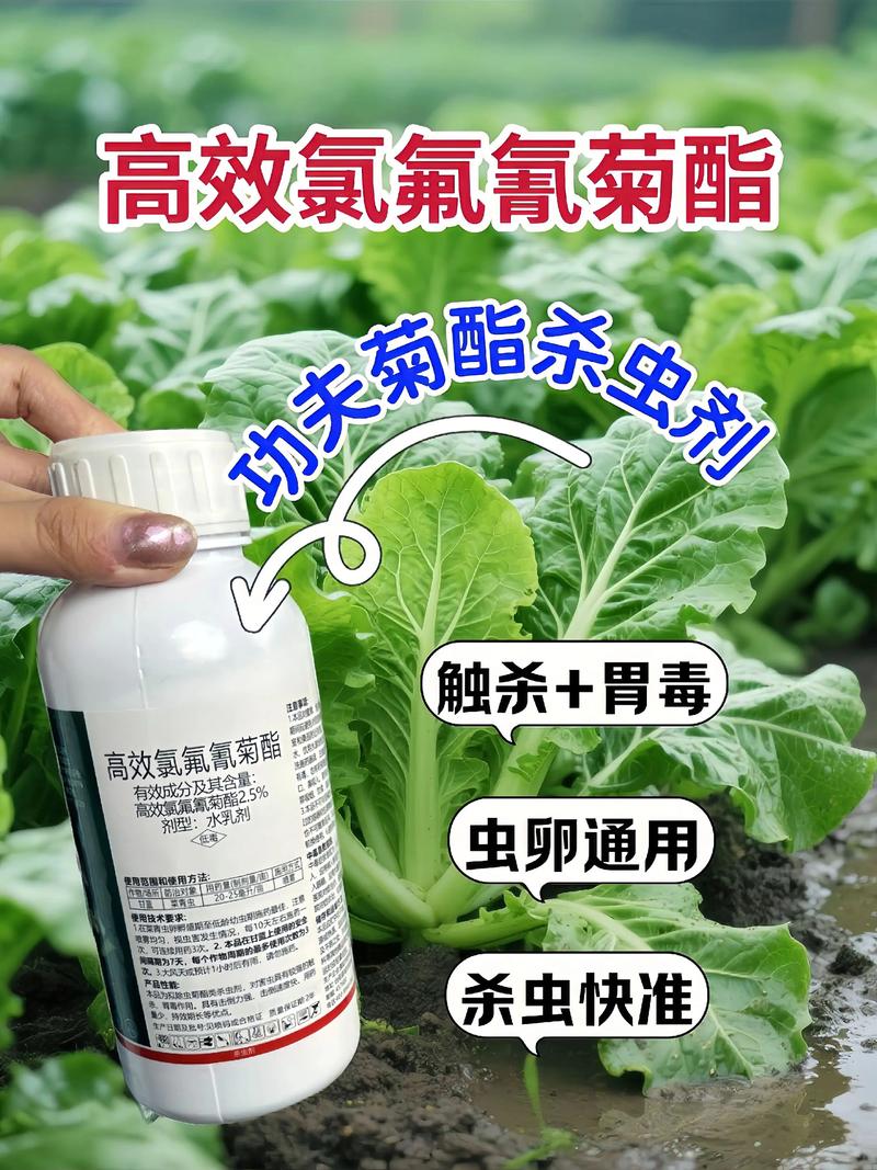 昌平代生中心:农药对供卵代生妈妈的危害